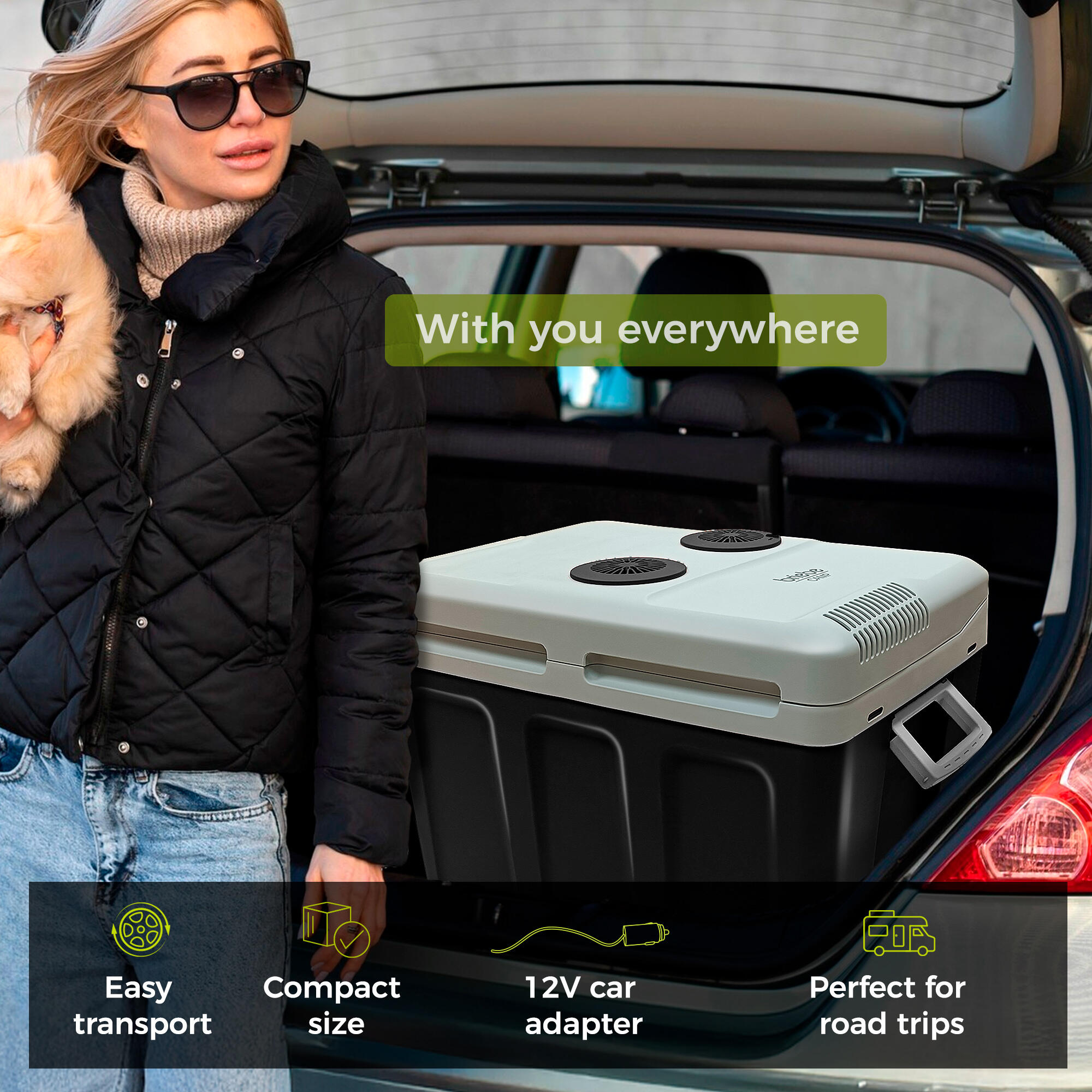 briebe Draagbare elektrische reis-koelbox voor auto, camping, 12 V/220 V, inhoud 28 liter, koeling, warmhoudfunctie, laag stroomverbruik, rood