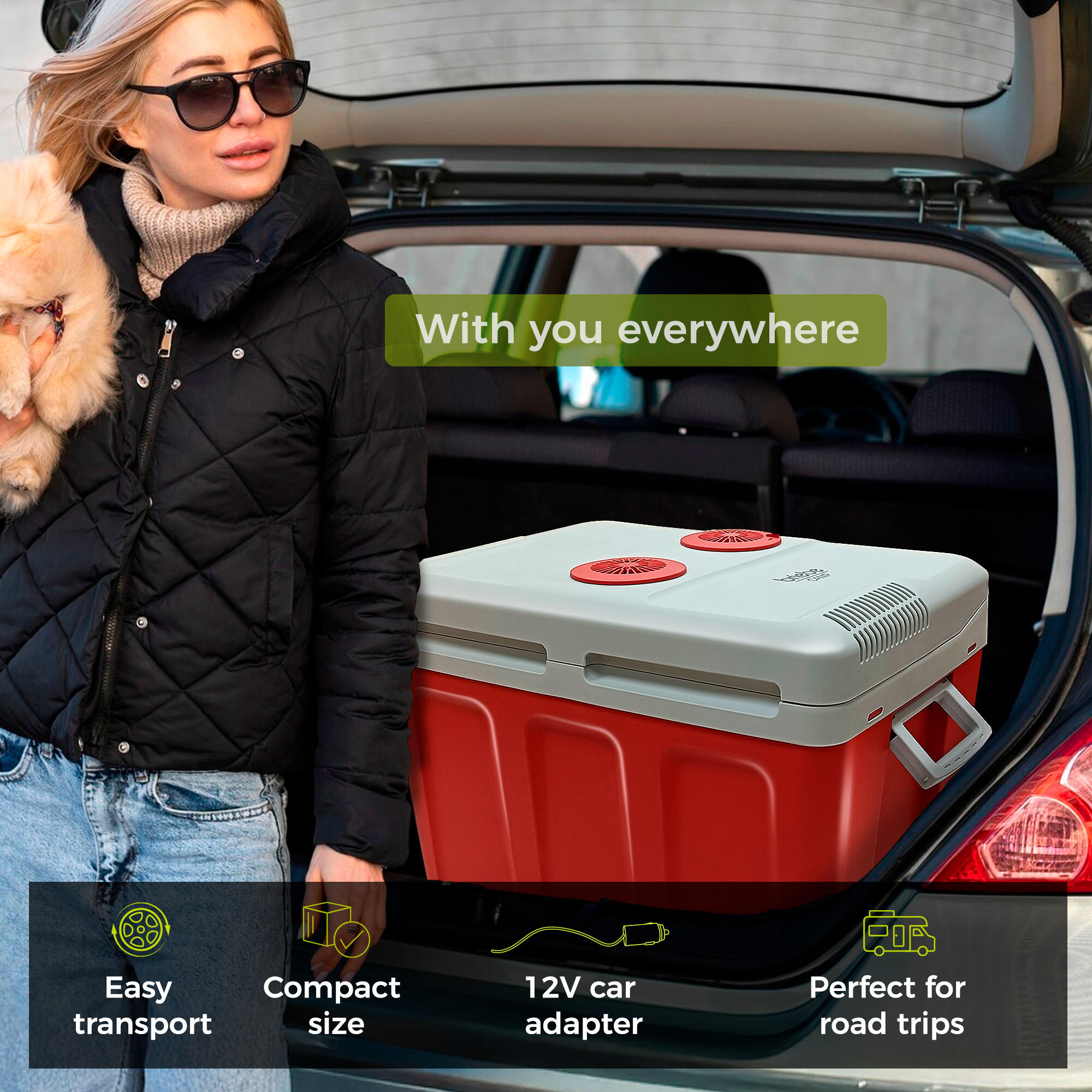 Réfrigérateur Portable Électrique 40L, Camping et Voiture 12V/220V Camper briebe 7/7