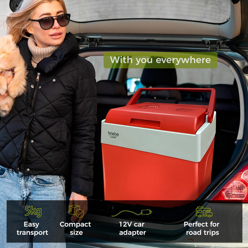 Réfrigérateur Portable Électrique 28L, Camping et Voiture 12V/220V Camper briebe