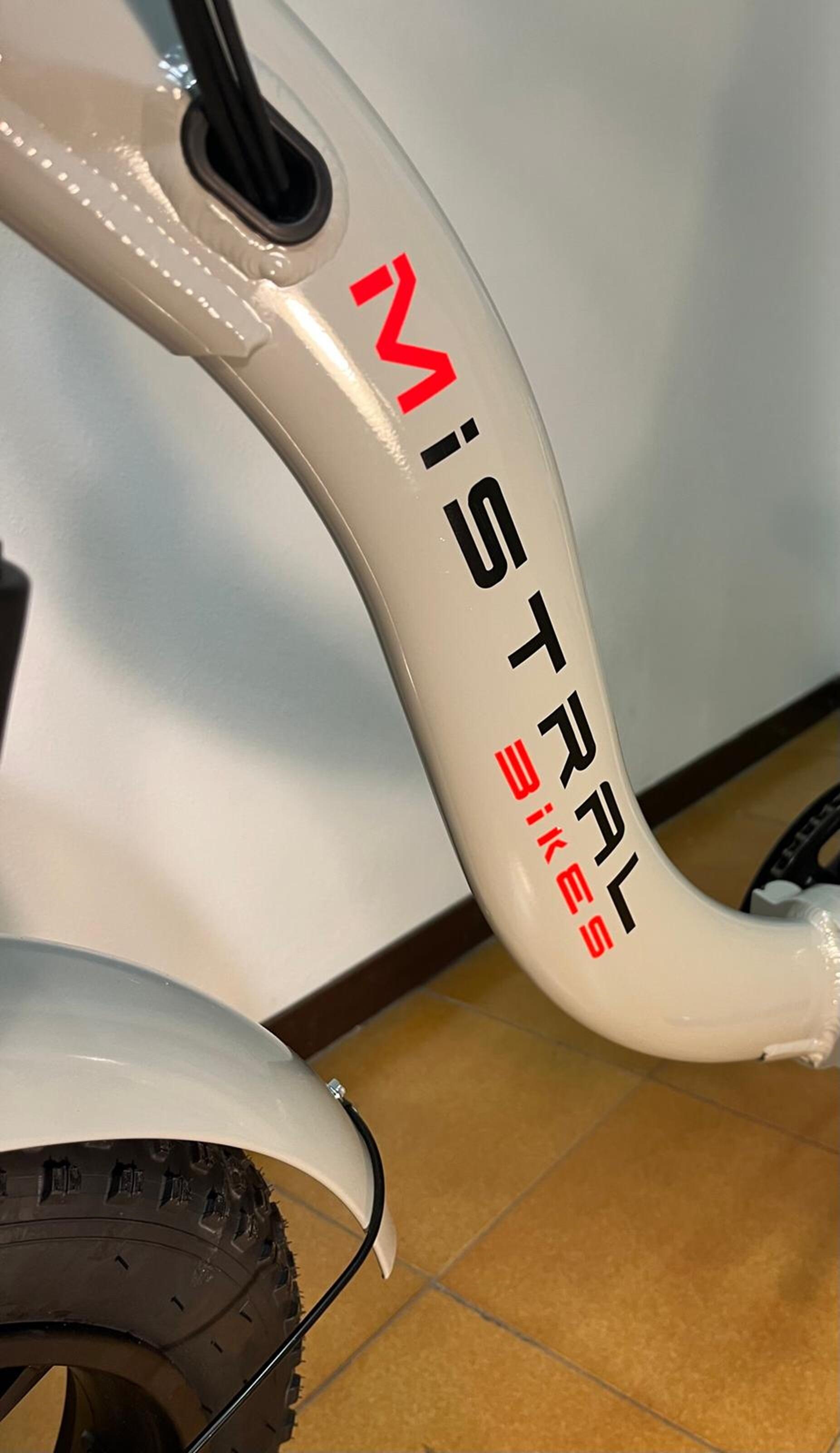 BICICLETA FAT ELÉCTRICA PLEGABLE OFF ROAD 36V 13Ah 4/7