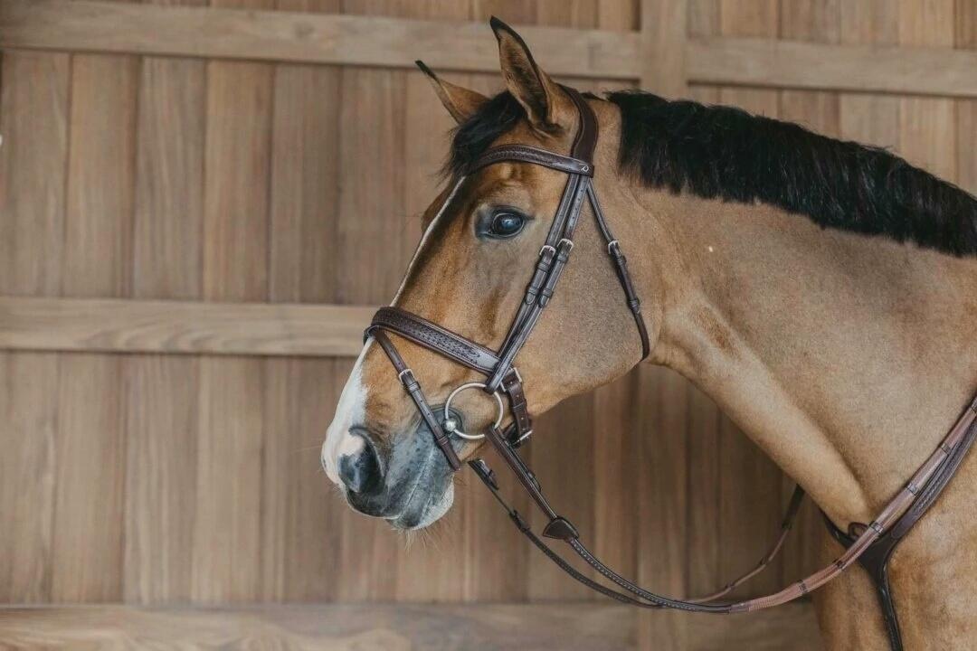 DY'ON Dy'on Plaited Flash Noseband Hoofdstel With Pull Back Bruin -