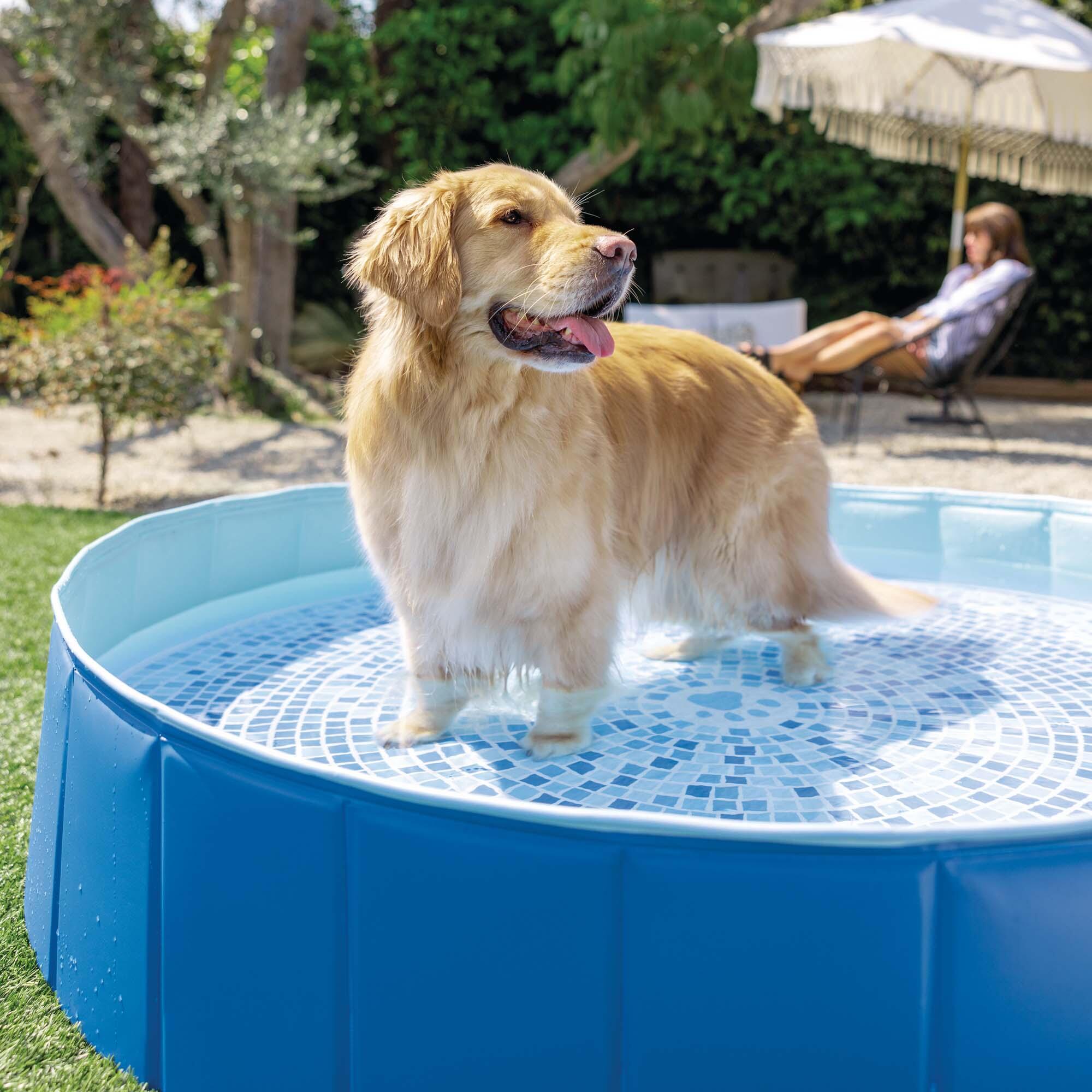 Vasca Pieghevole Per Cani - Antiscivolo, Portatile, Per Bagni Interni/esterni, Grandi E Piccoli - Foto 9