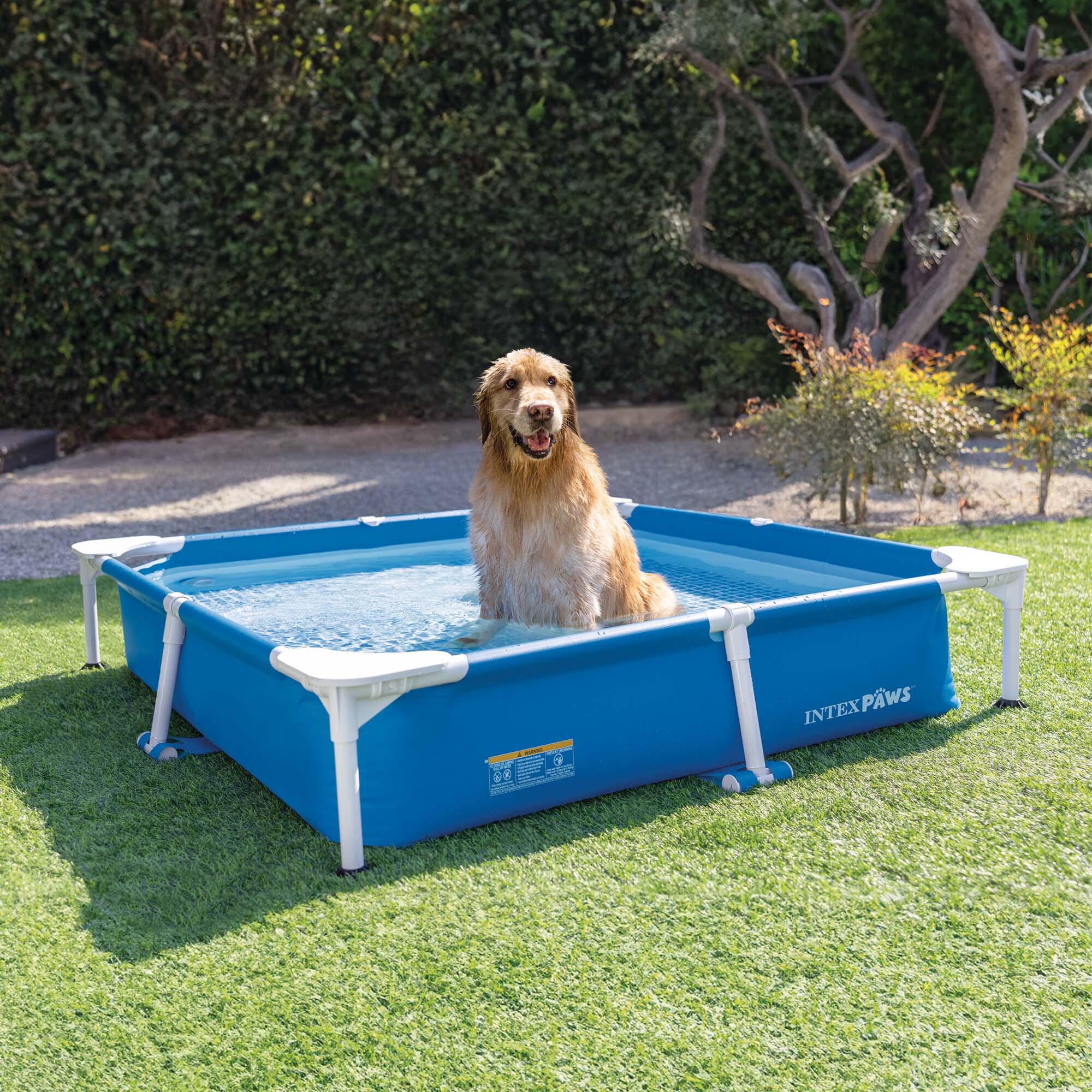 Bazén INTEX 48402 Frame Pet set s filtrací pro mazlíčky 152x152x30 cm 4/7