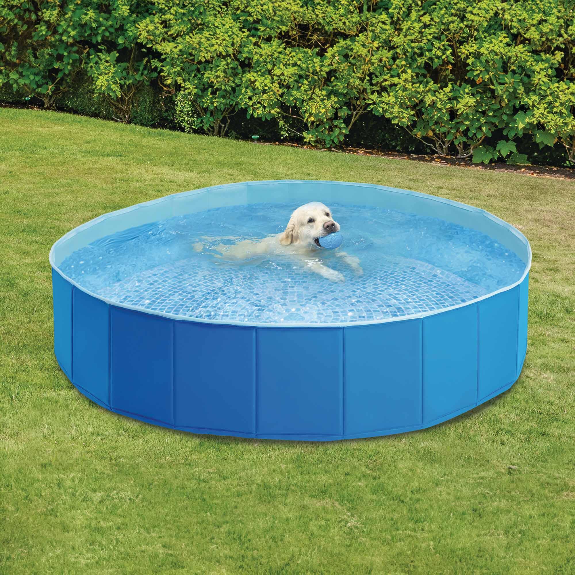 Bazén pro psy nebo jiné domácí mazlíčky Intex.INTEX 48400 152x30 cm 4/7
