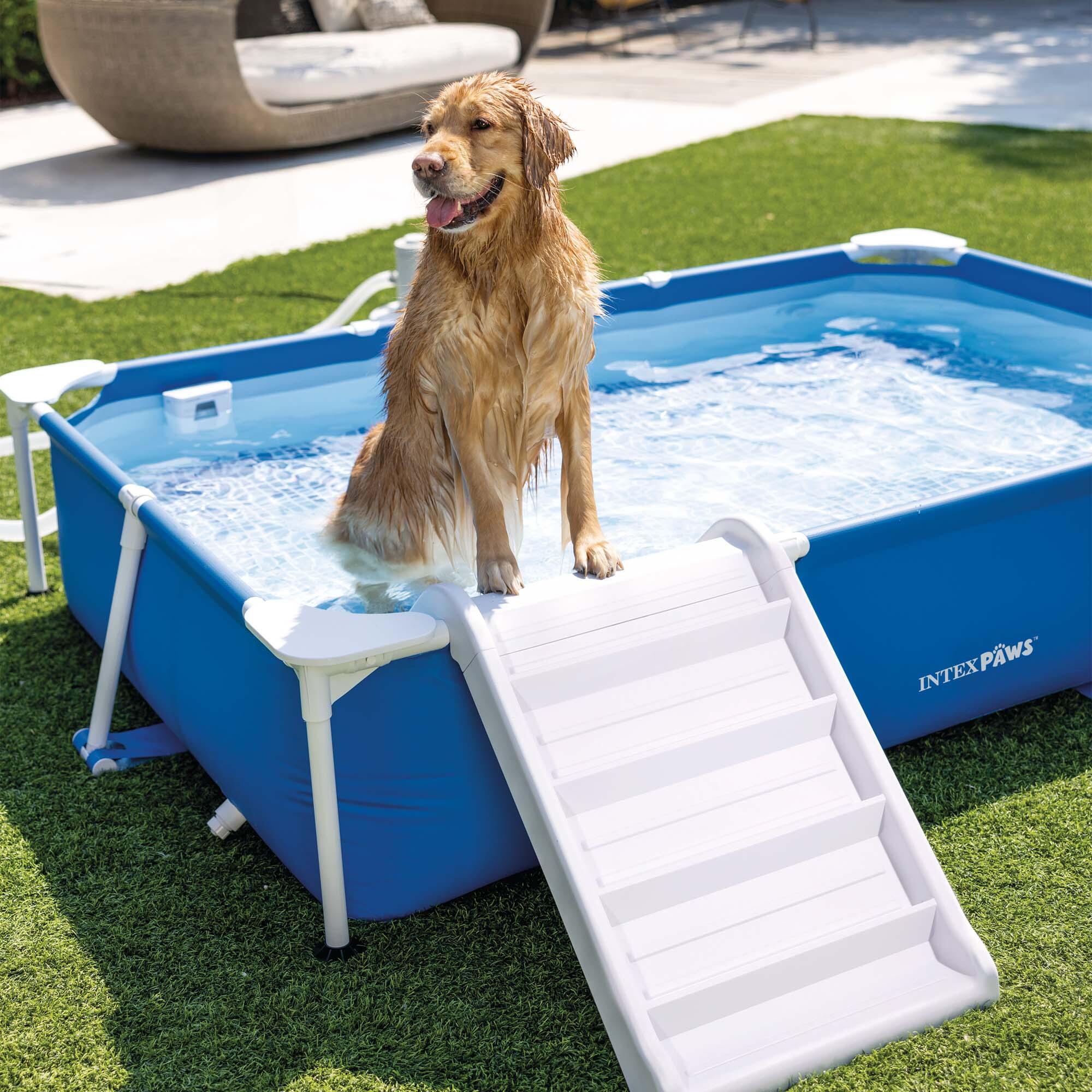 Piscina removível para cães com rampa, 229x152x46 cm 4/7