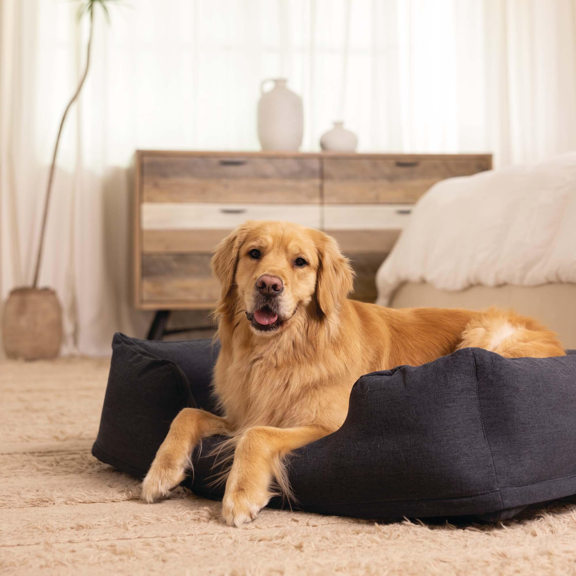 Intex 48702NP - Cuccia Gonfiabile per Cani Grande, con Pompa Manuale 5/7