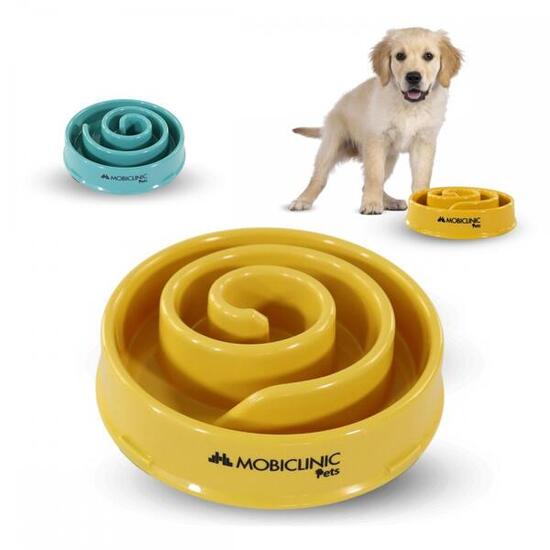 Mangeoire lente anti-voracité Anti-glisse 500ml Spirale 19,5 x 4,6 x 20,6cm