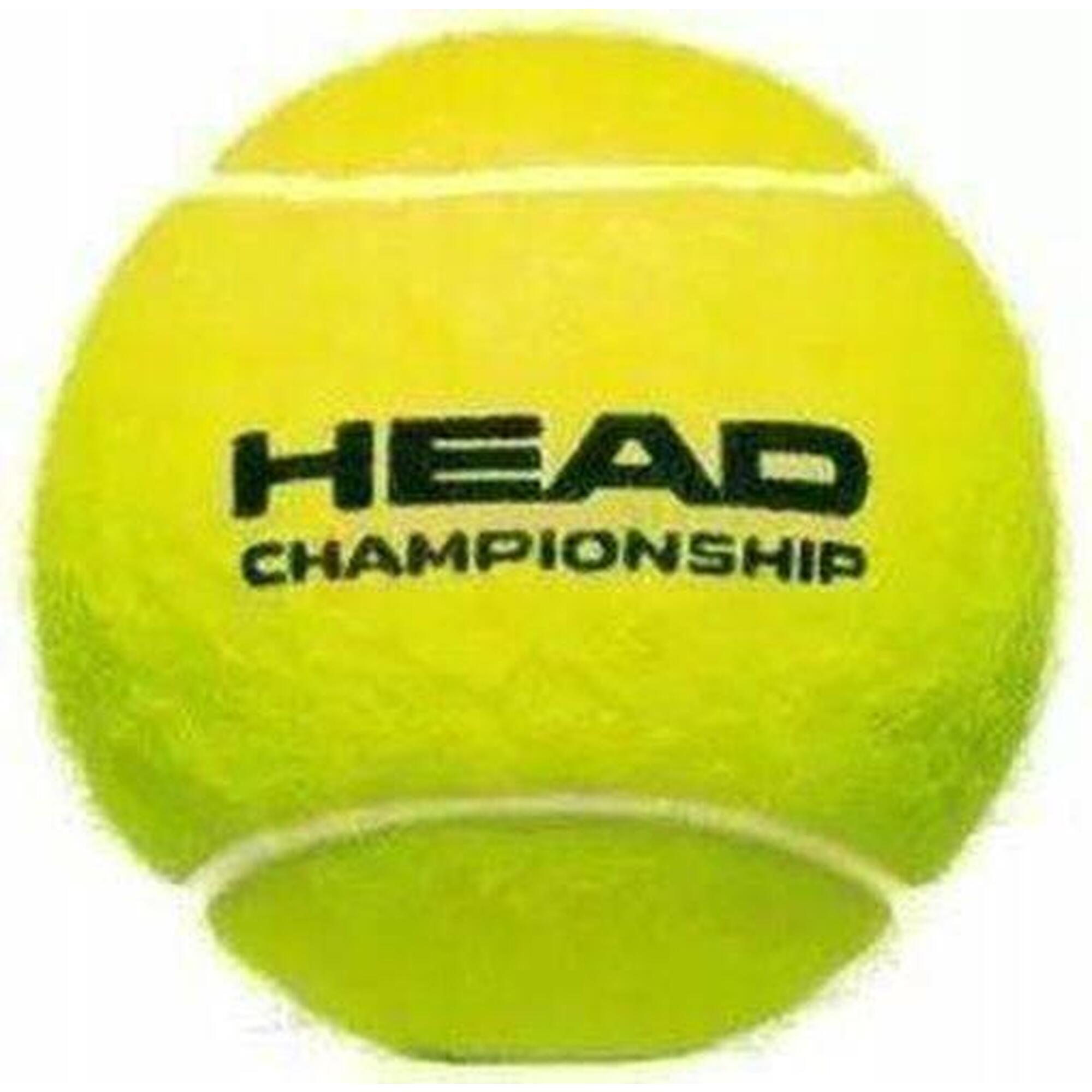 Piłki tenisowe Head Championship 3szt puszka
