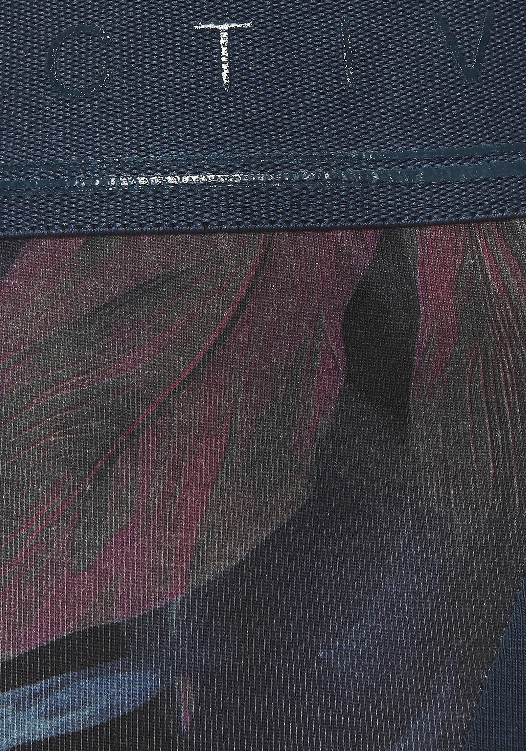 Damen Shorts 4/6