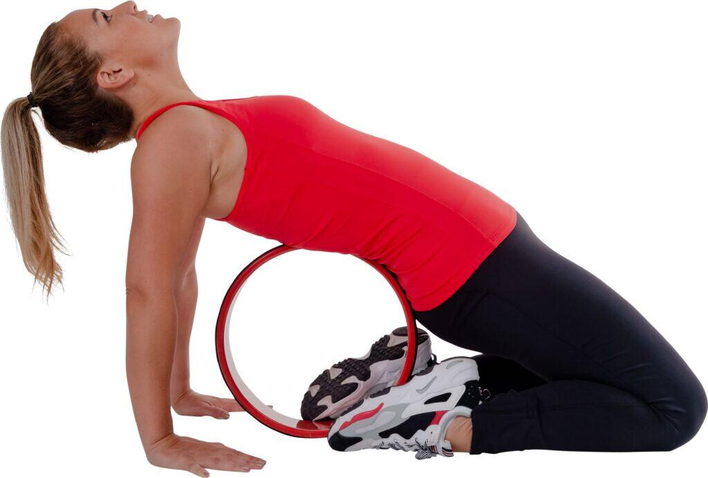 Roue pour abdominaux 3/7