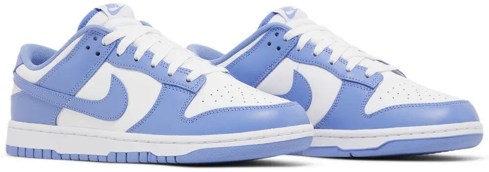 Nike Dunk low Polar Blue 3/5