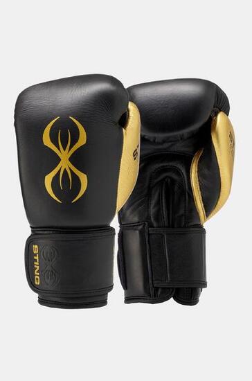 EVOLUTION BOXING GLOVE BLACK/GOLD 14OZ