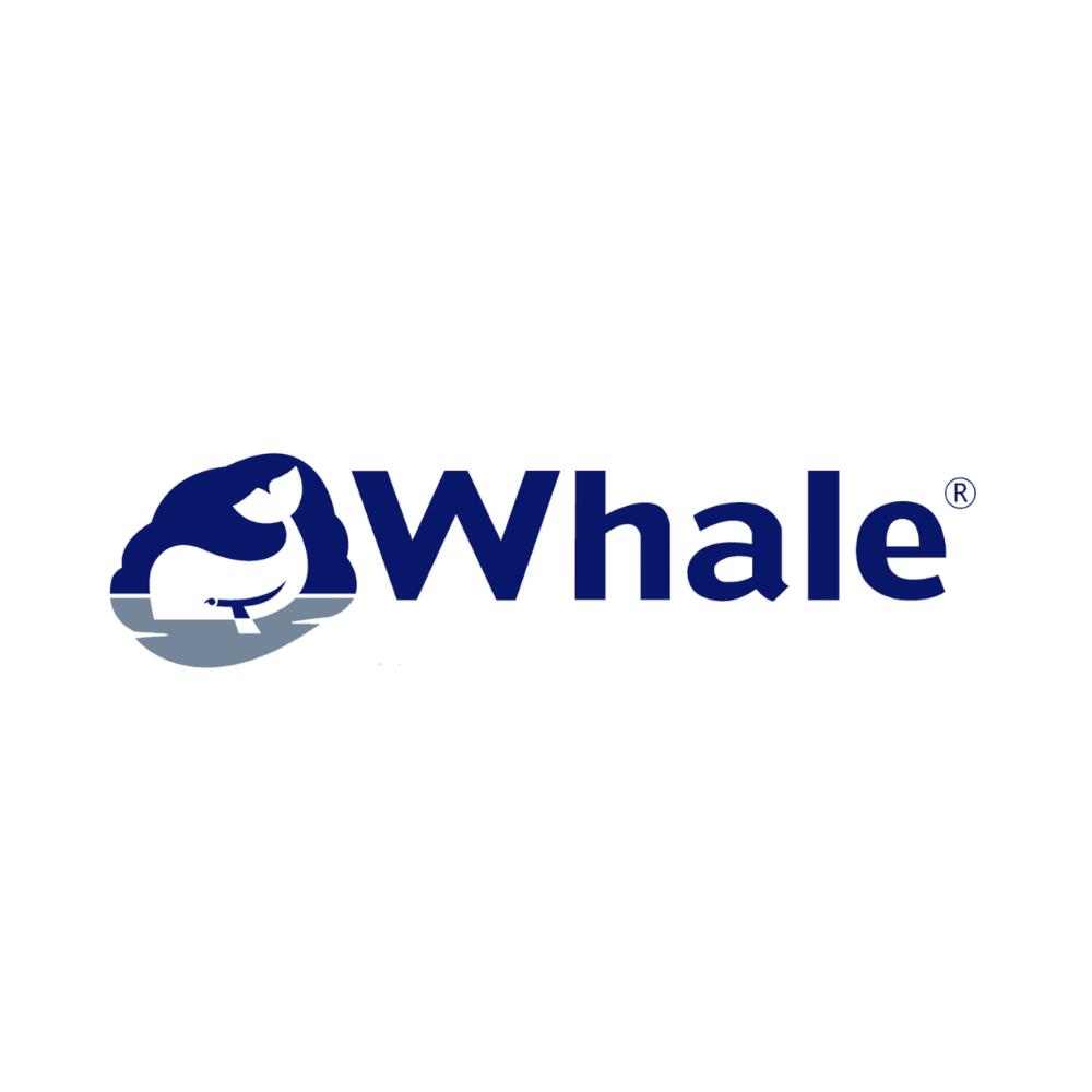 Filtre à charbon AQUASOURCE - WHALE 3/3