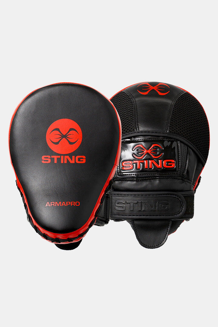 STING picture