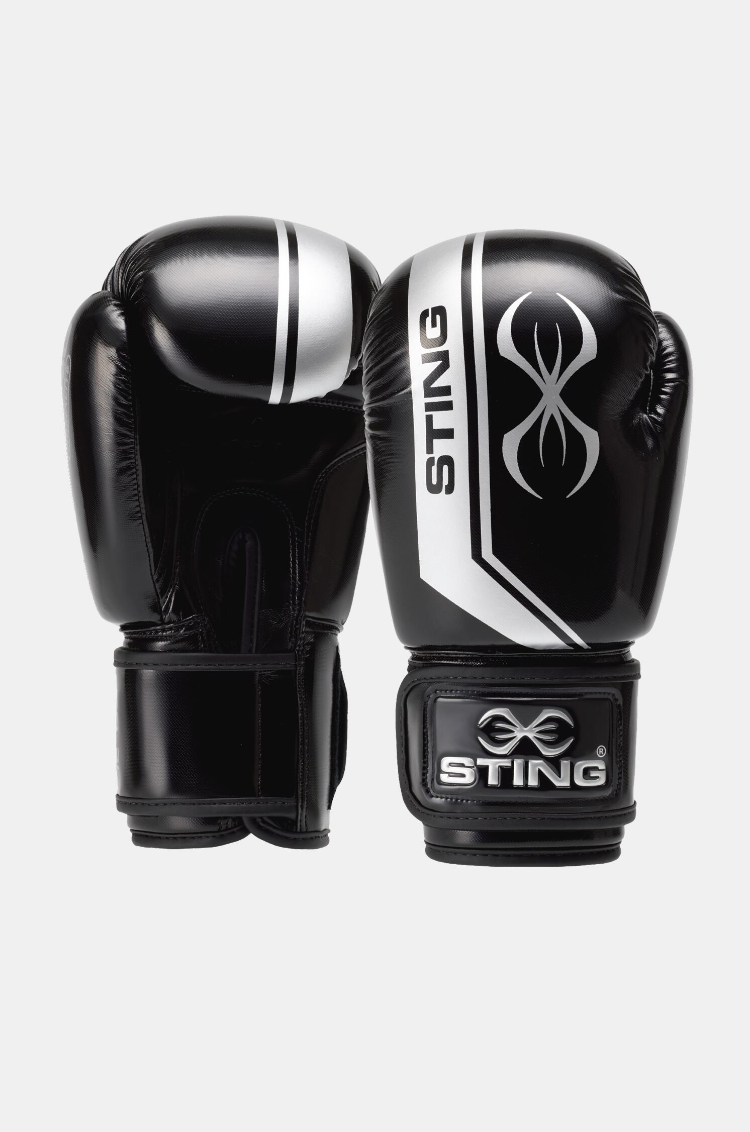 STING picture