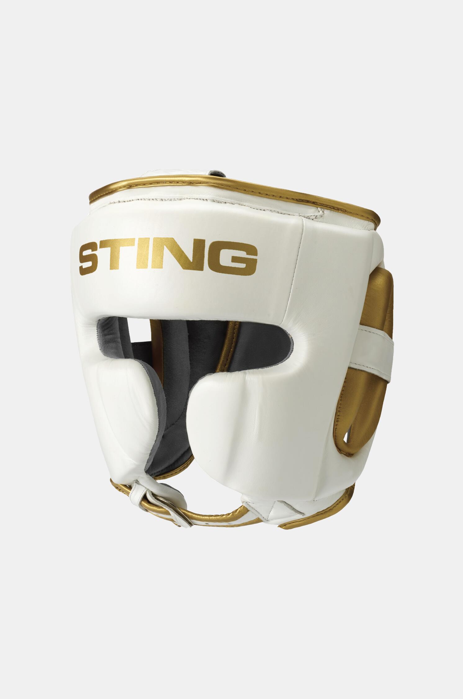 STING picture
