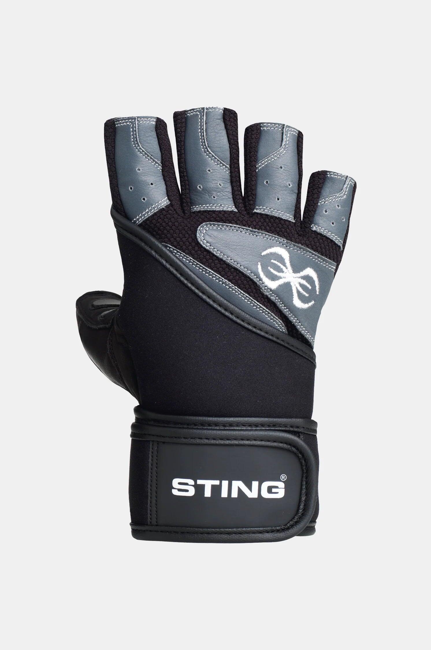 STING picture