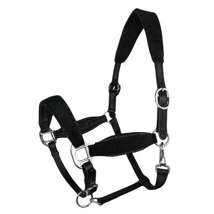 Licol en cuir pour cheval JD ATTACK Velvet Dream