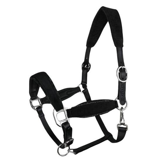 Licol en cuir pour cheval JD ATTACK Velvet Dream