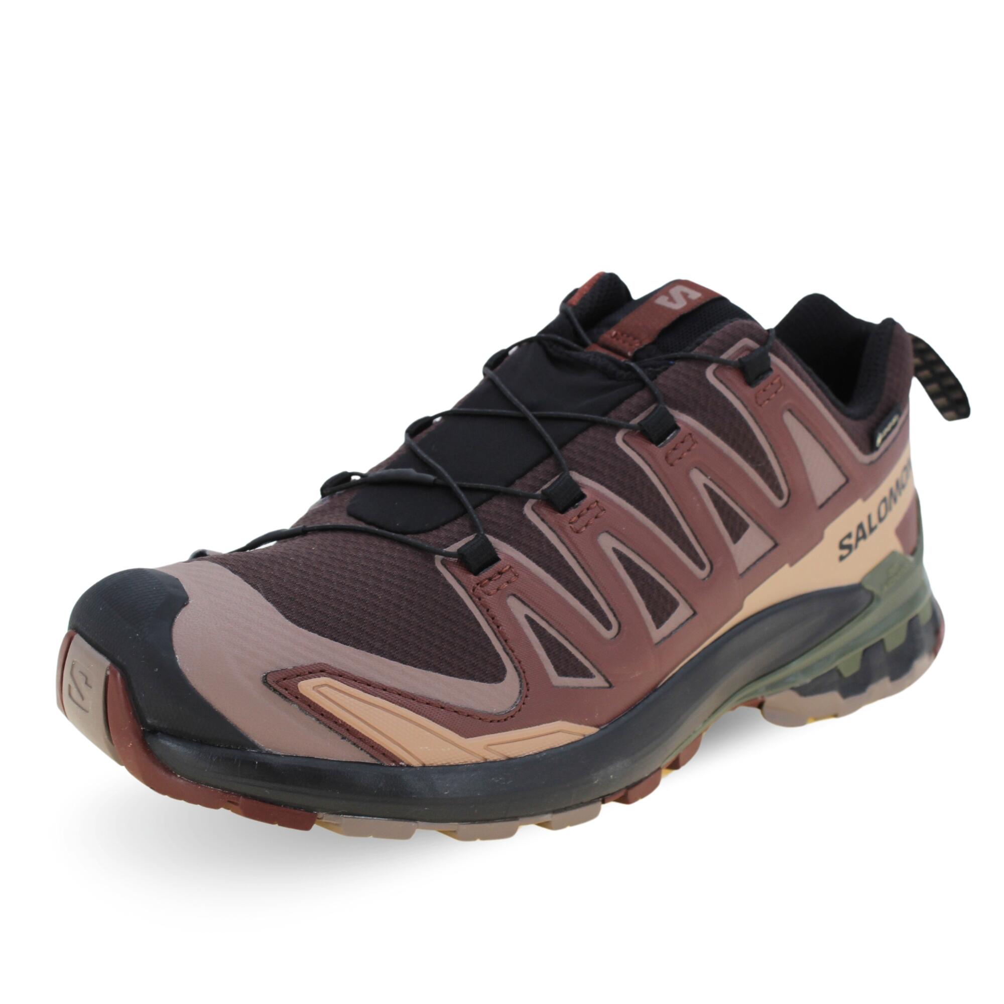 SALOMON picture