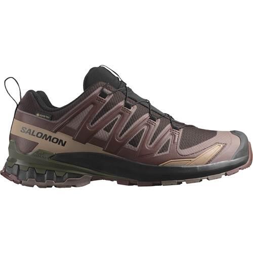 Trail Running Shoes Xa Pro 3D V9 Gore-Tex - 475835 Brown