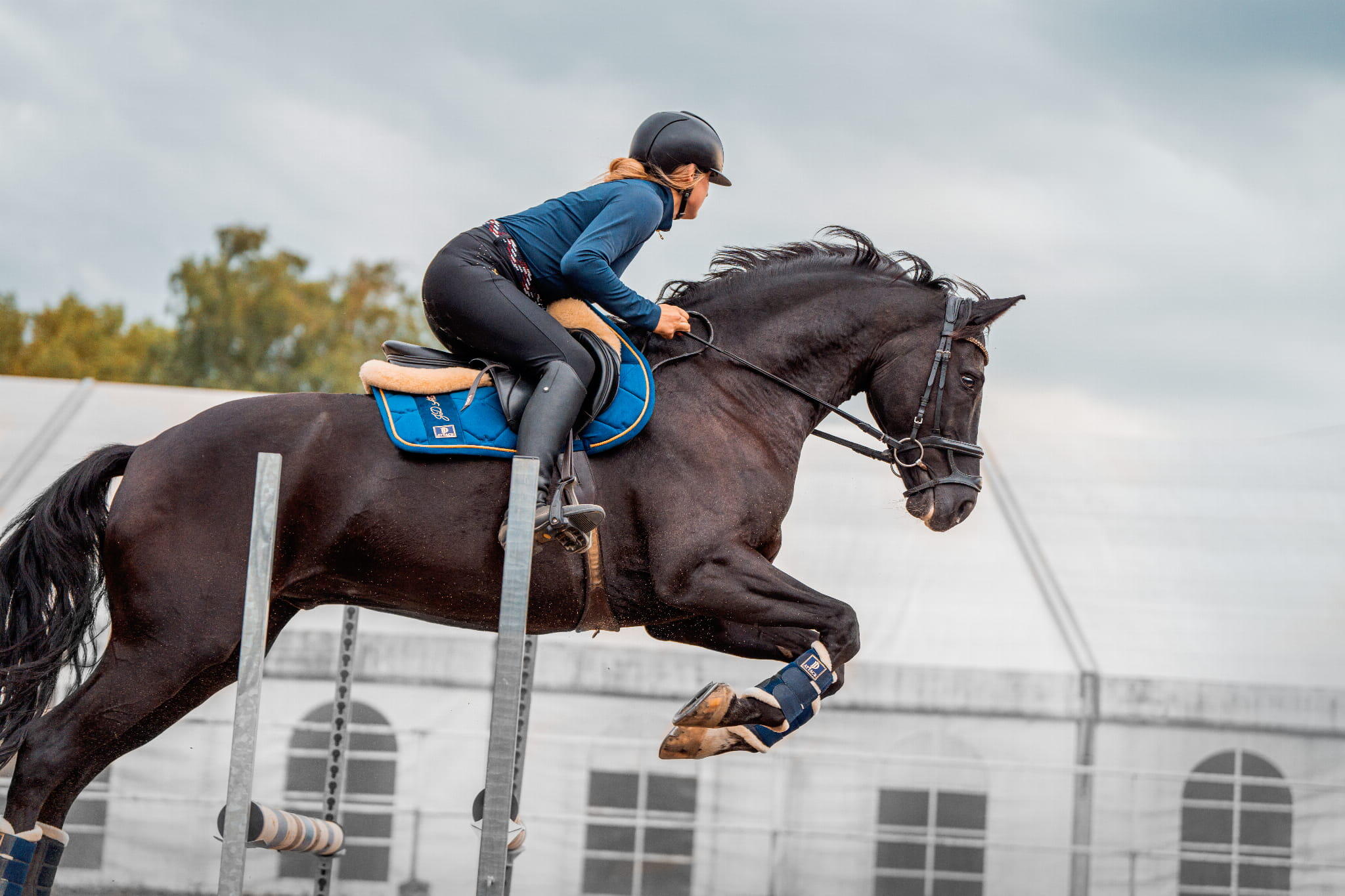 JD ATTACK Casquette de cheval Esme 3/3