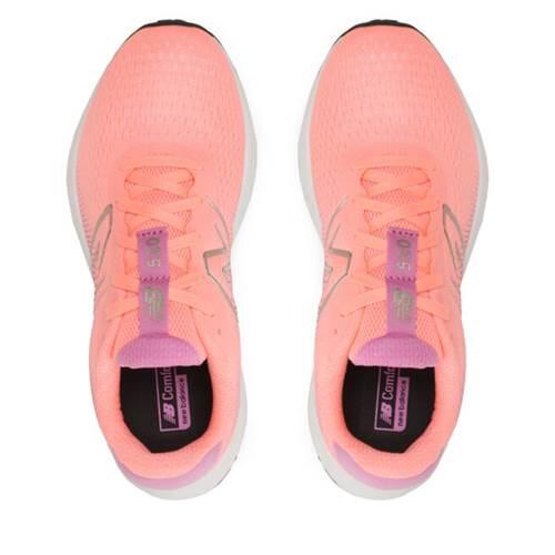Zapatillas de Running para Adultos New Balance 520V8 3/5