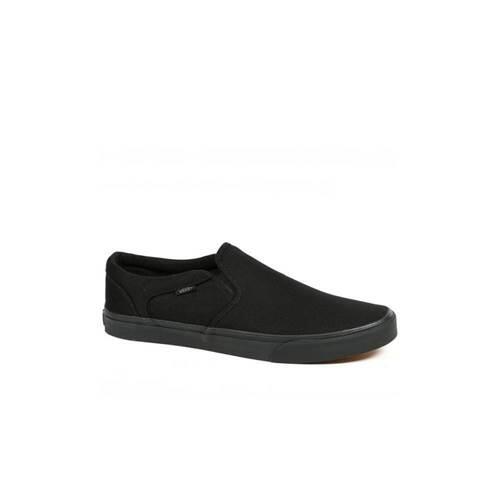 VANS picture