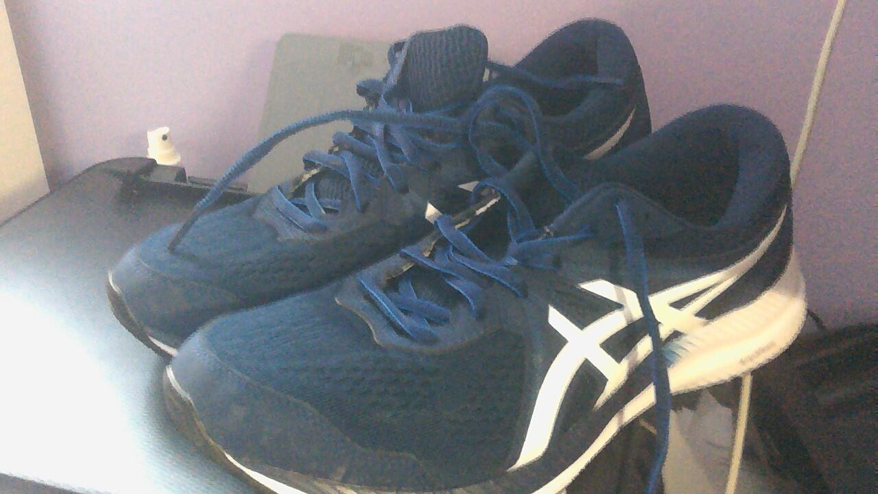 ASICS picture