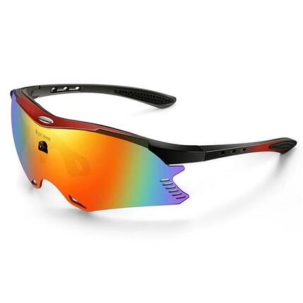 Lunettes de Soleil UV400 AntiUV CoupeVent Noire / Verres Gris Foncé