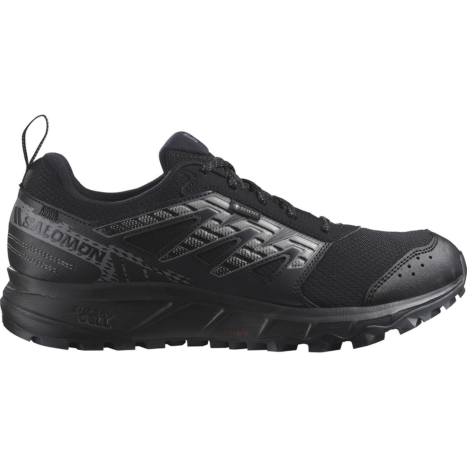 SALOMON picture