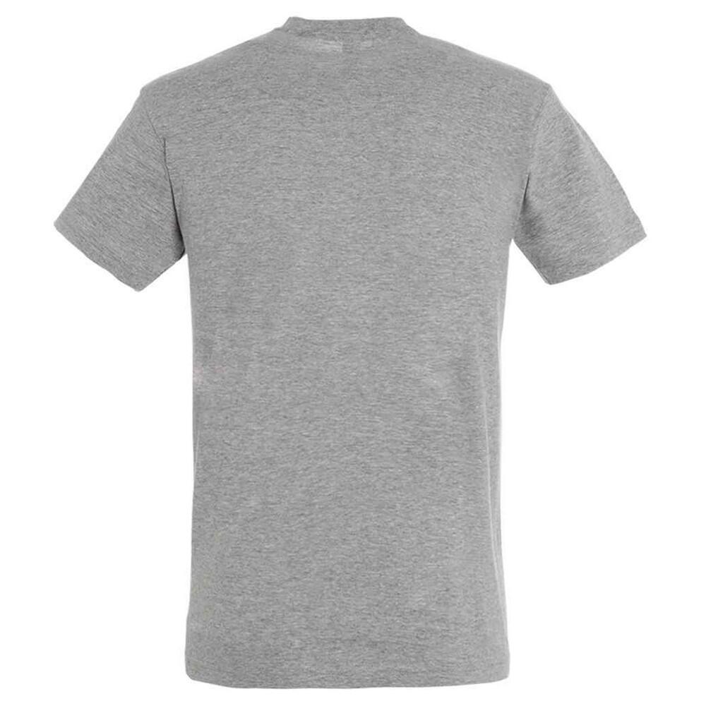 Mens Regent Marl TShirt (Grey Marl) 2/4