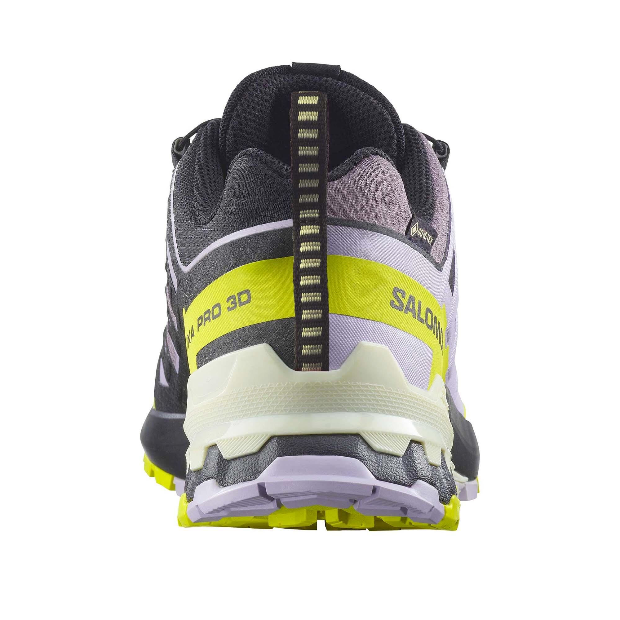 Outdoor-Schuhe Salomon Xa Pro 3D V9 Gtx W Dame 3/5