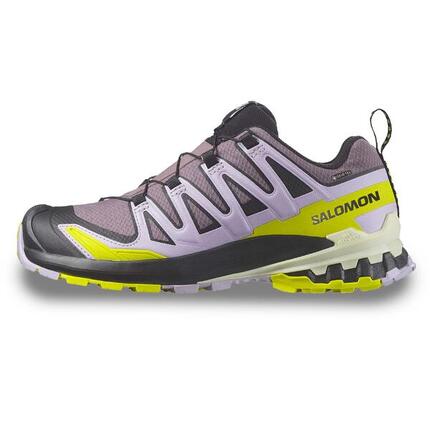 Outdoor-Schuhe Salomon Xa Pro 3D V9 Gtx W Dame