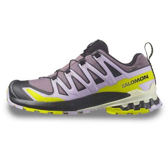 Outdoor-Schuhe Salomon Xa Pro 3D V9 Gtx W Dame