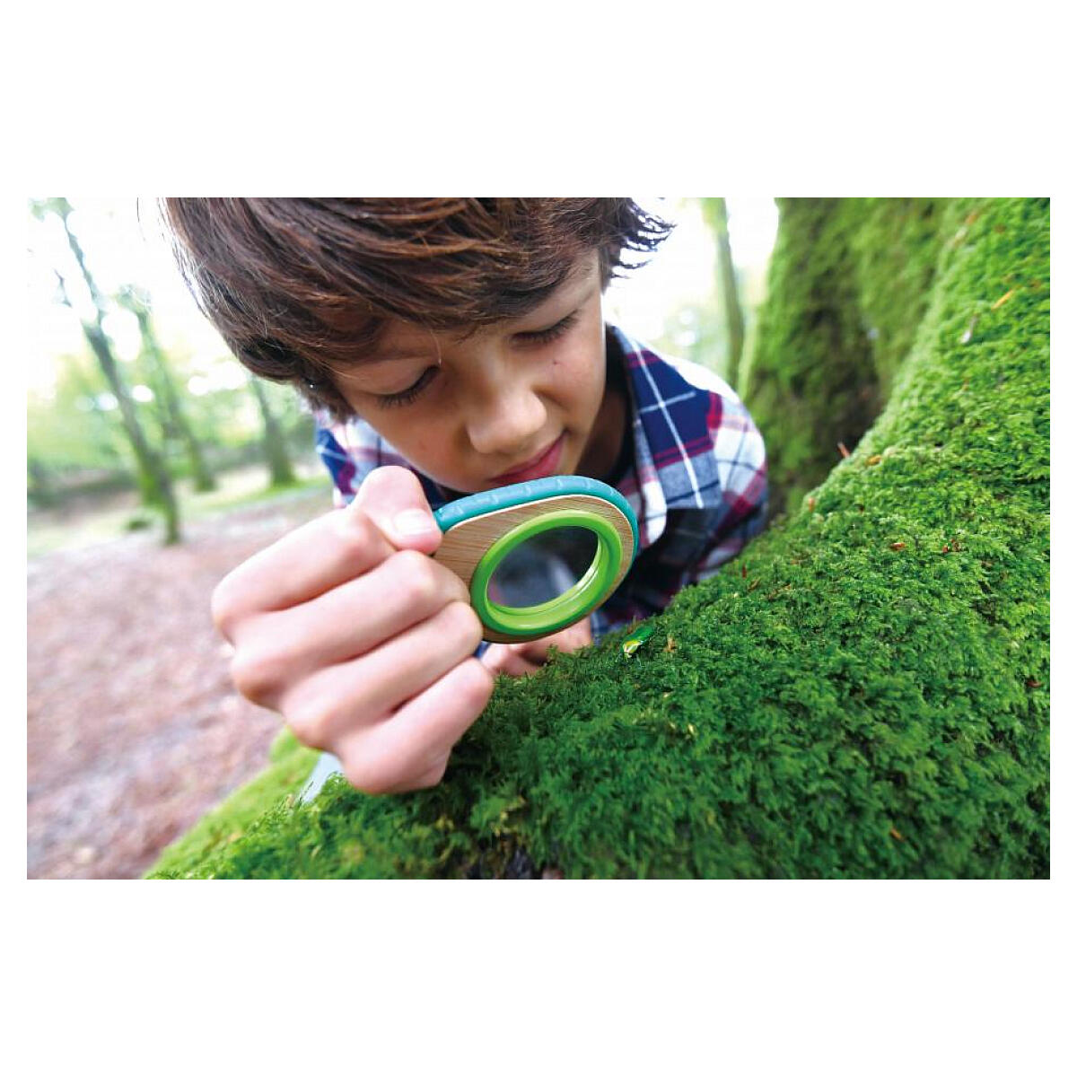 Kit de découverte de la nature 3/7