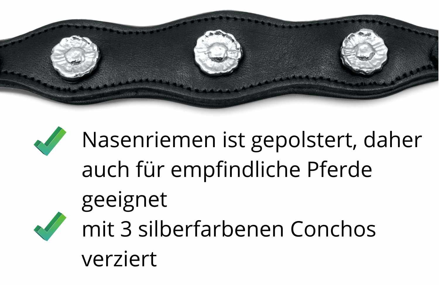 Hackamore Barock 3/4