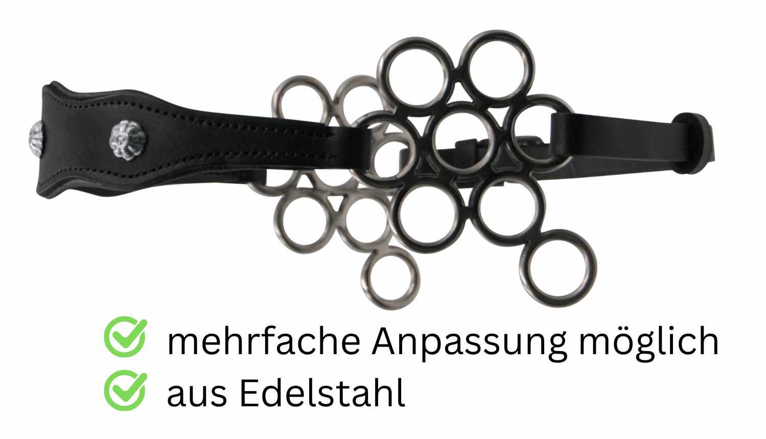 Hackamore Barock 2/4