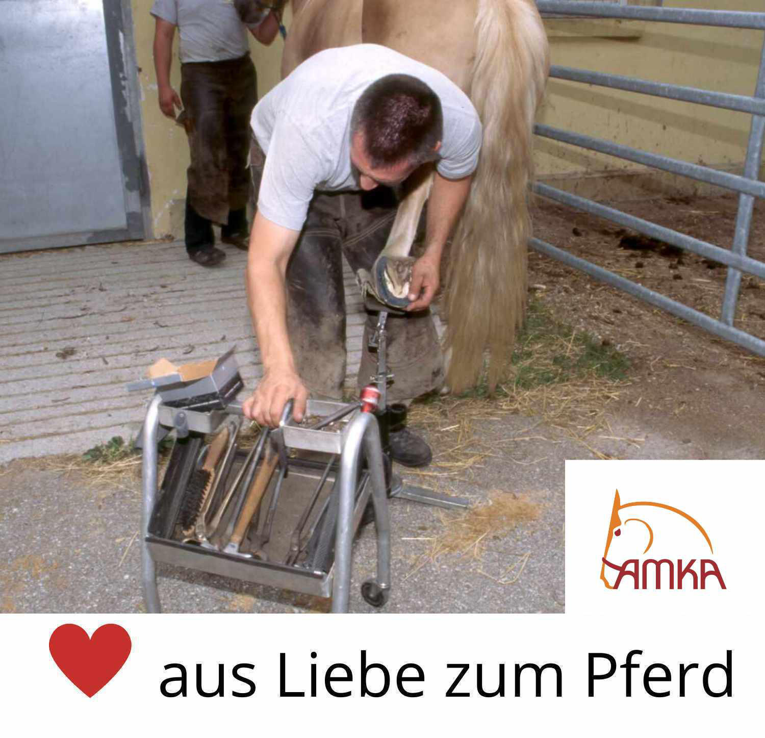 AMKA Hufzange mit Feder 4/4