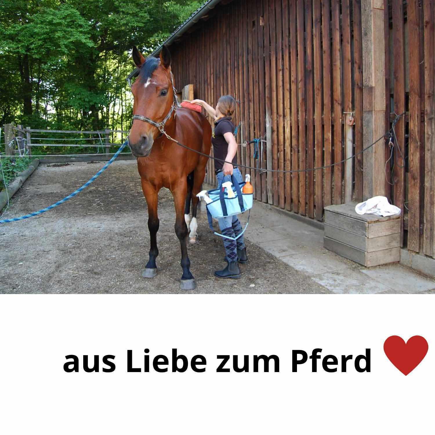Waldhausen Super Dandy Ersatz Kardätsche für Pferdestaubsauger Pferde 2/3