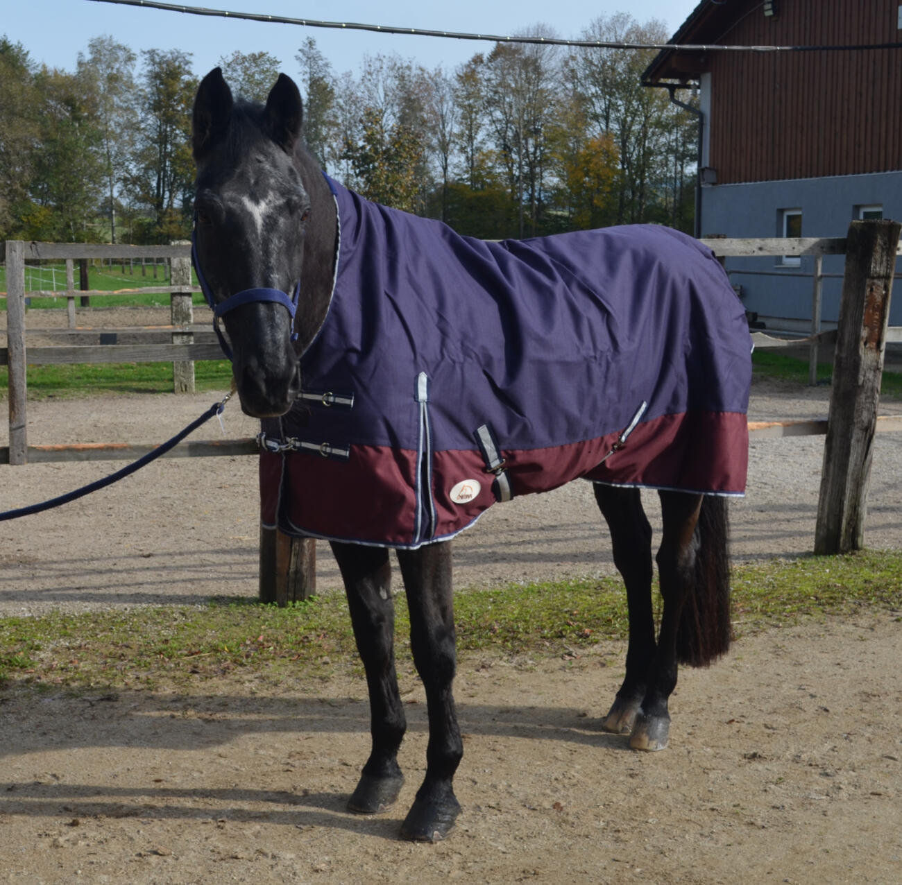 AMKA Pferde Weide Outdoordecke 4/4