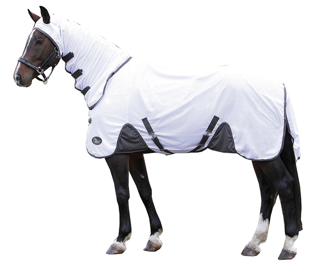 Harry`s Horse Fliegendecke 1/4