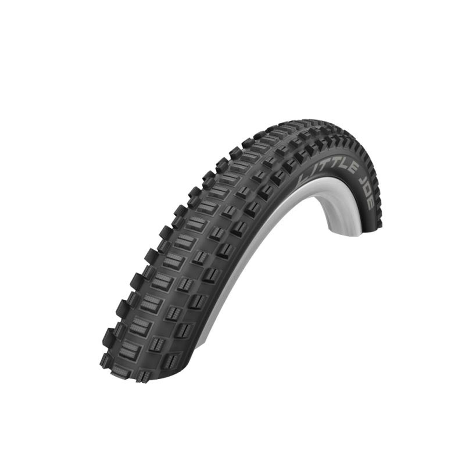 SCHWALBE picture