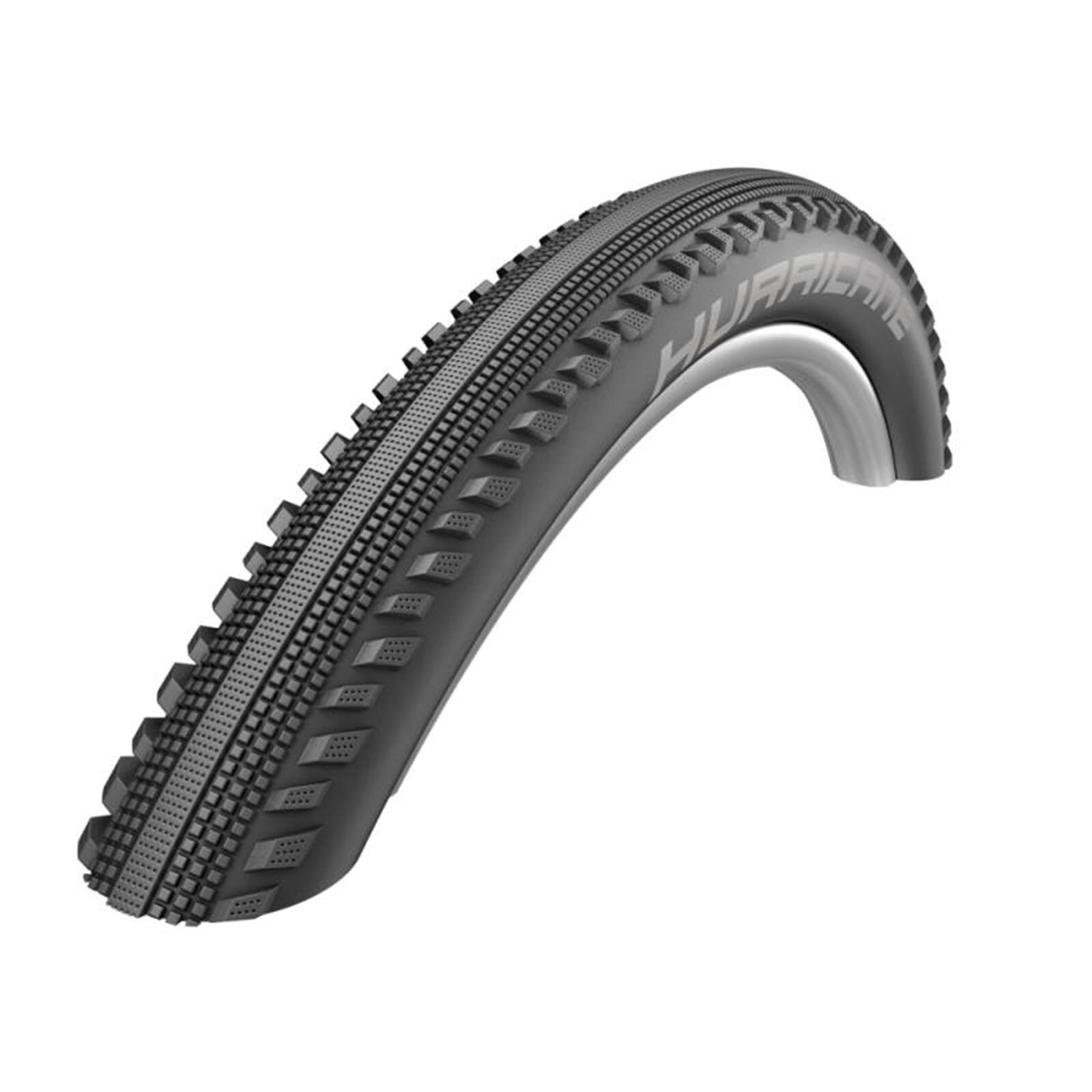 SCHWALBE picture