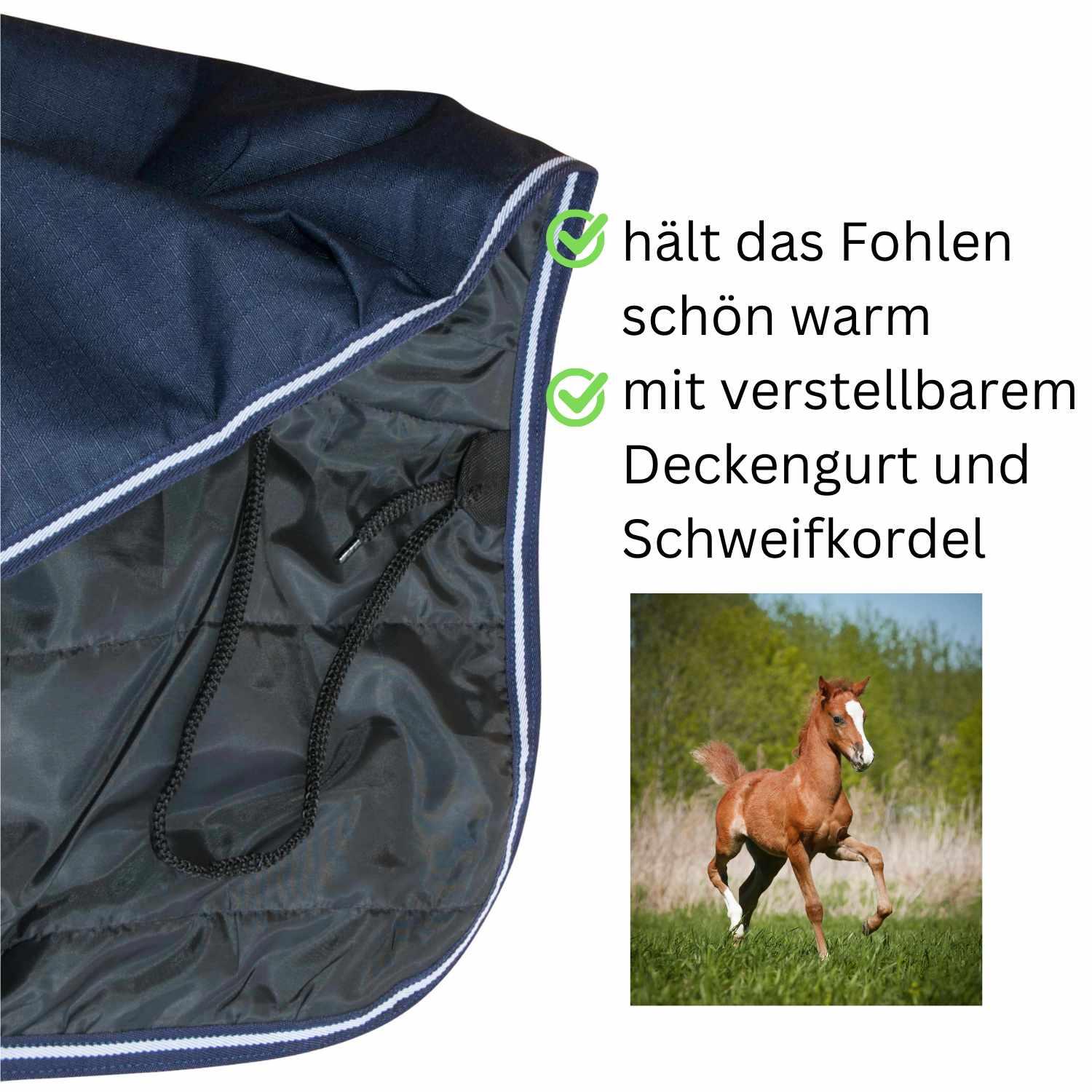 AMKA Fohlendecke 4/4