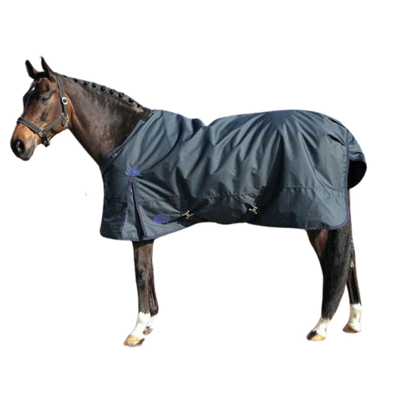 HARRYS HORSE picture