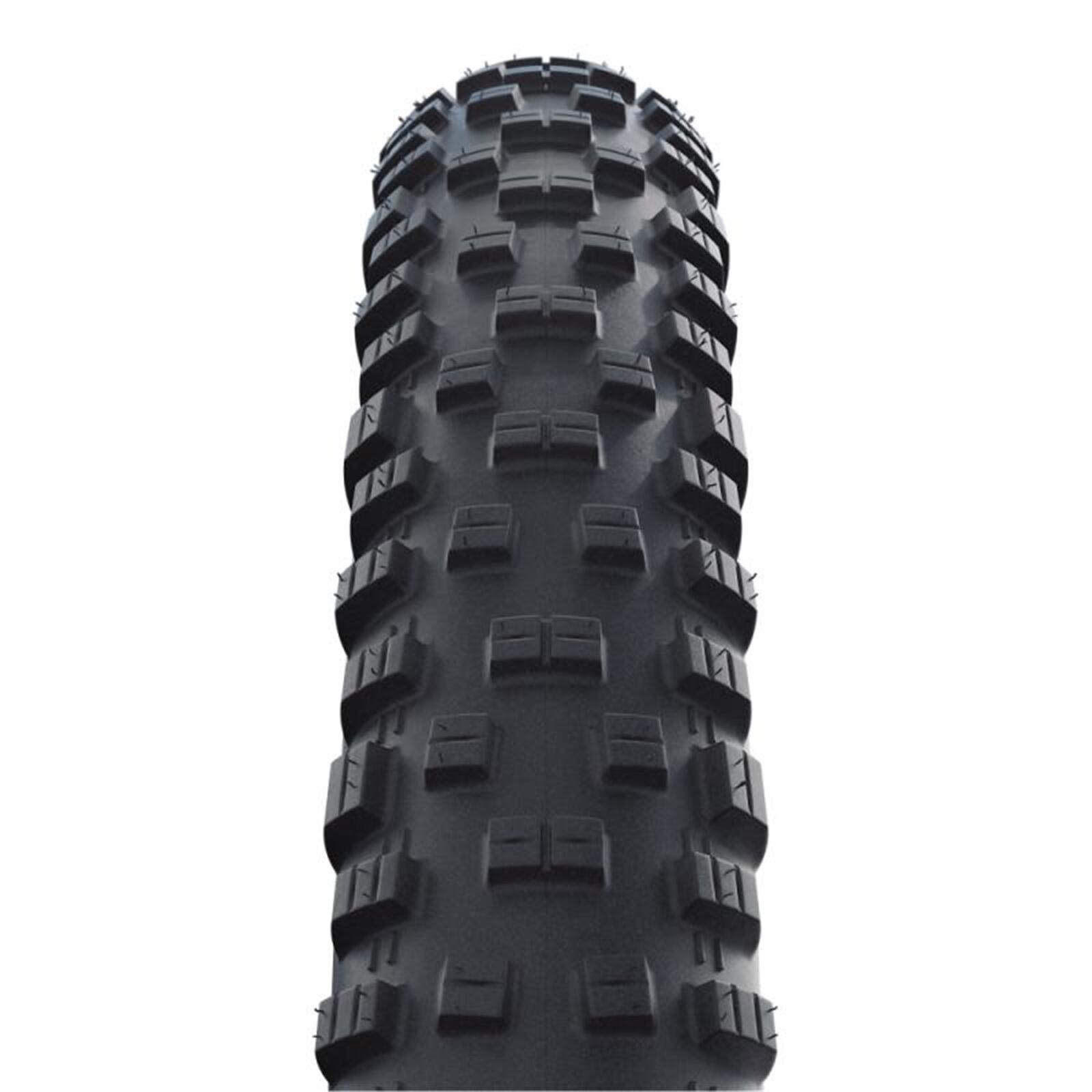 SCHWALBE picture