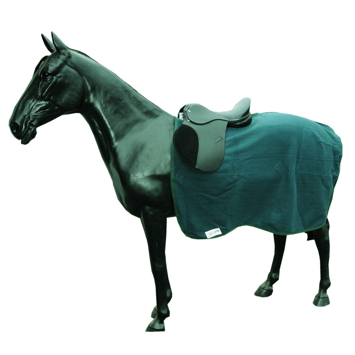 Nierendecke Galopp 2/3