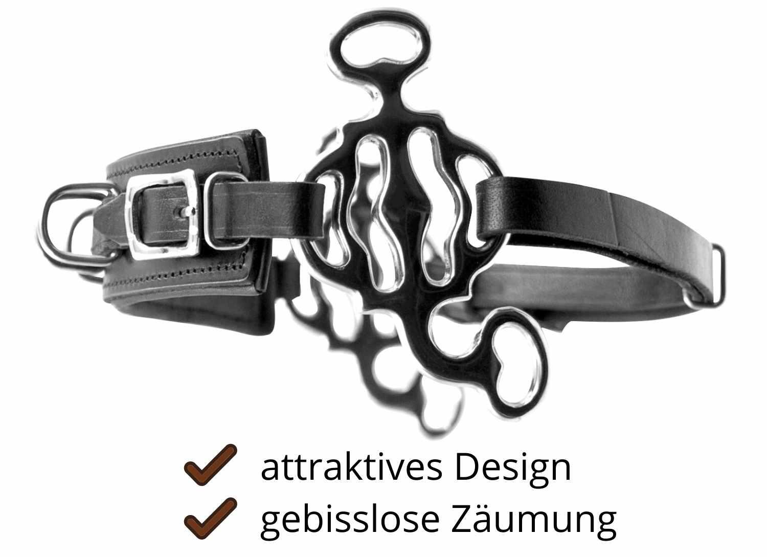 Hackamore Barock 2/4