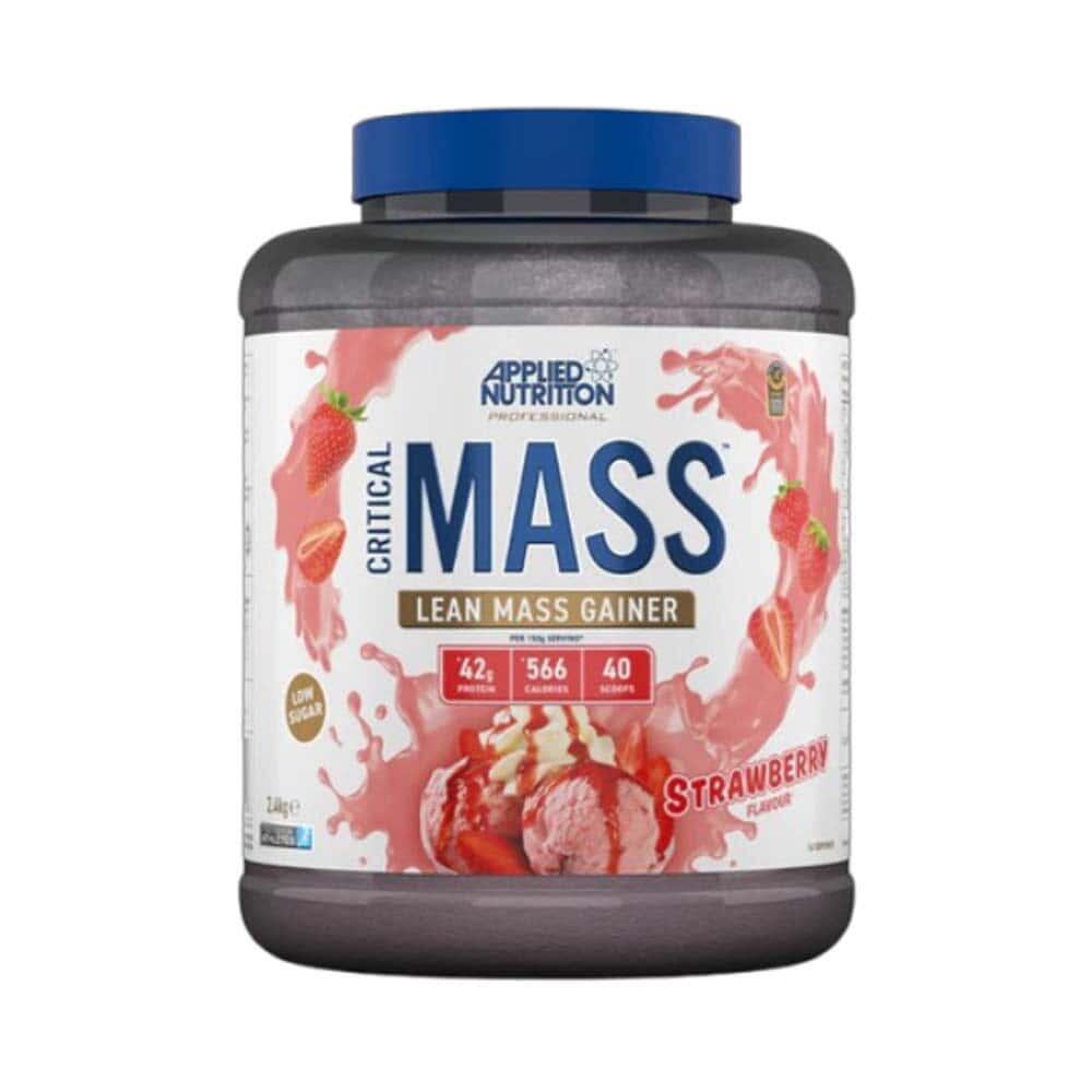 Critical mass professional (2.4kg)